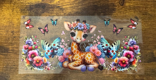 Giraffe 5