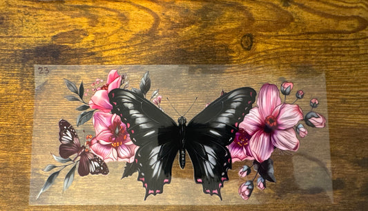 Butterfly 23