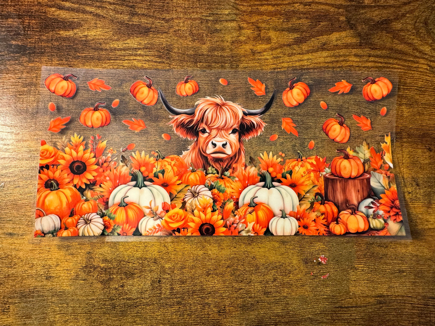 Cow 75