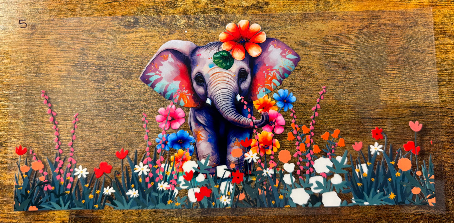 Elephant 5