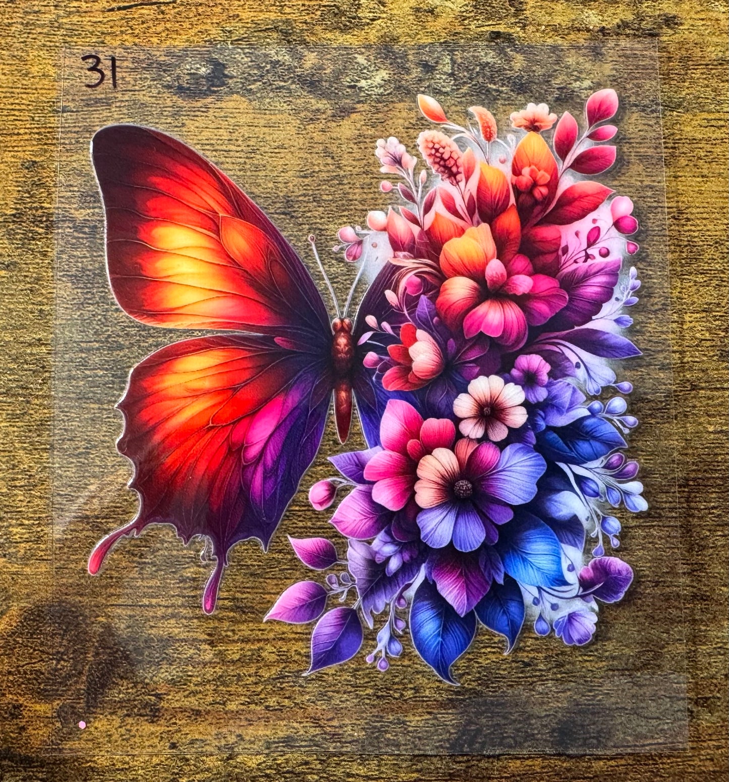 Butterfly 31