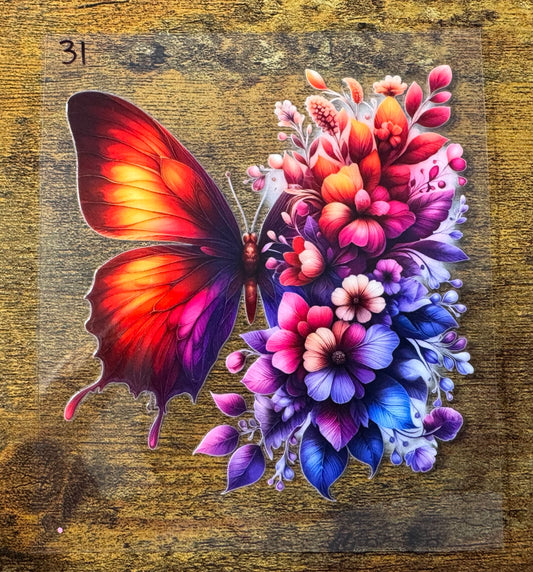 Butterfly 31