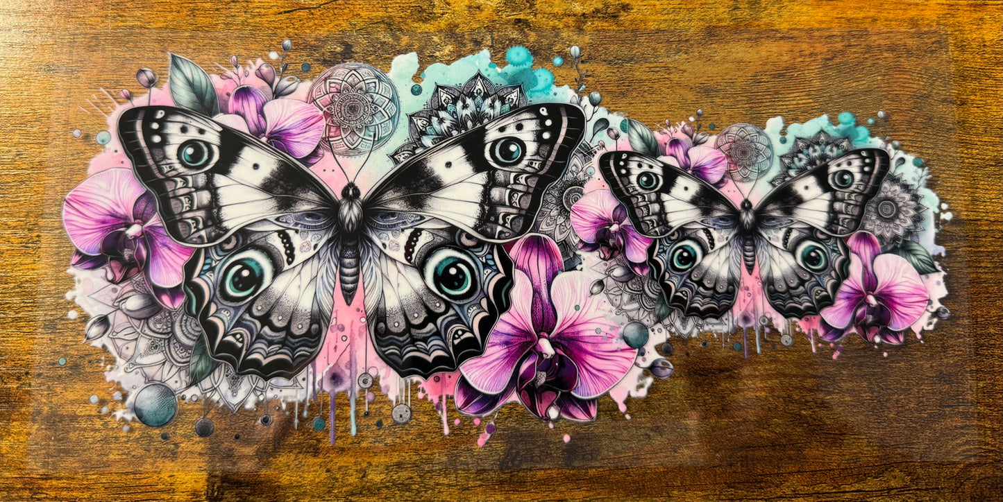 Moth