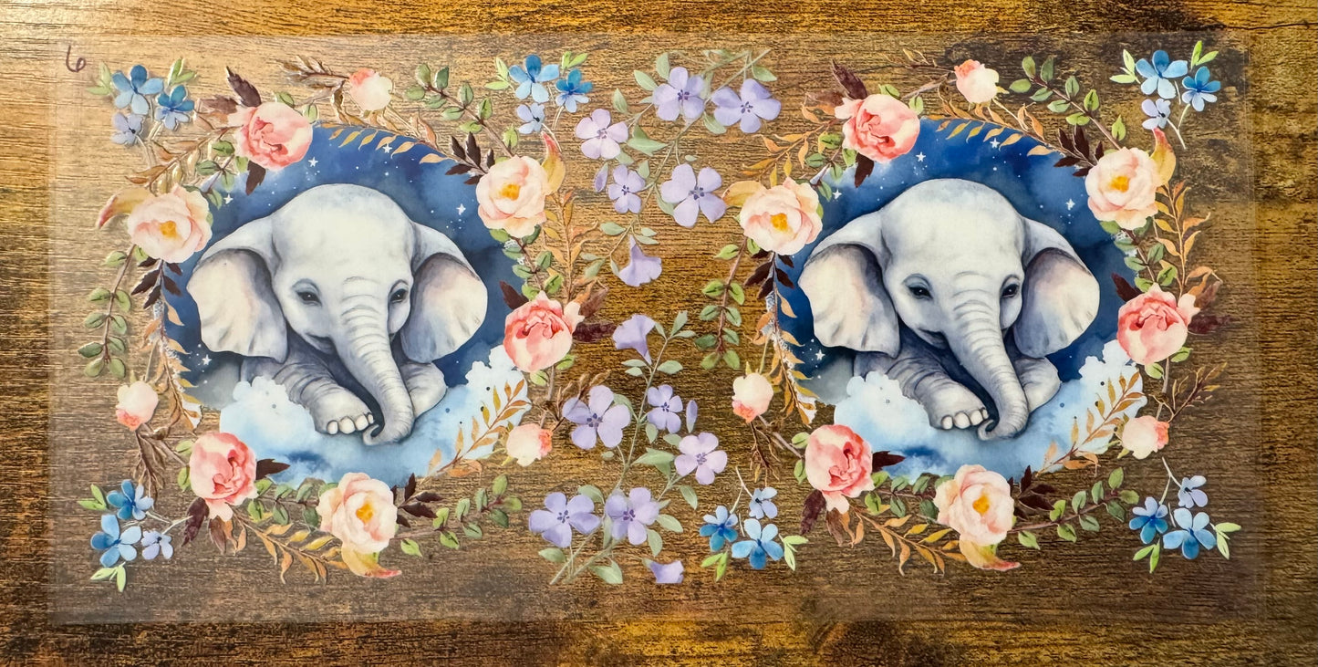 Elephant 6