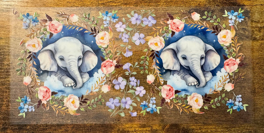 Elephant 6