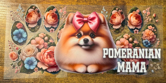 Pomeranian Mama
