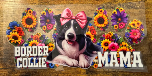 Border Collie Mama