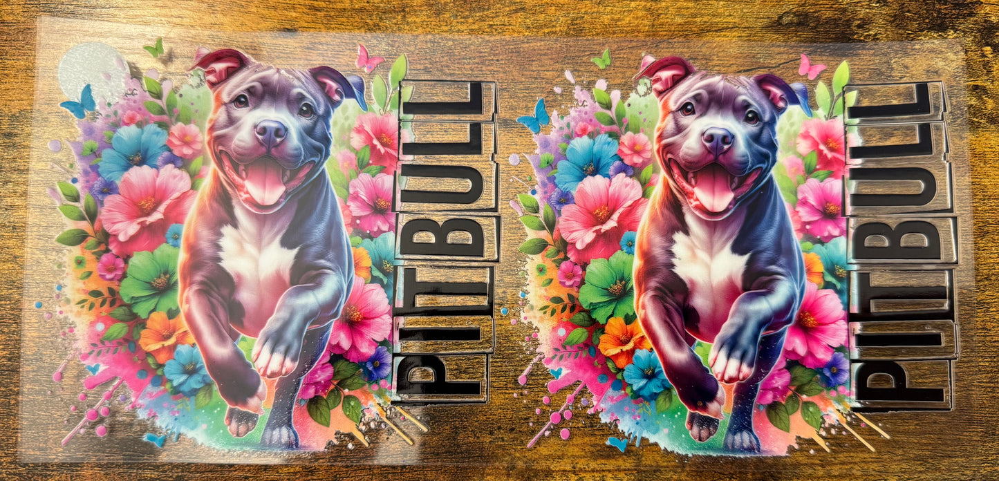 Pitbull