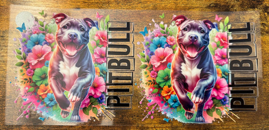 Pitbull