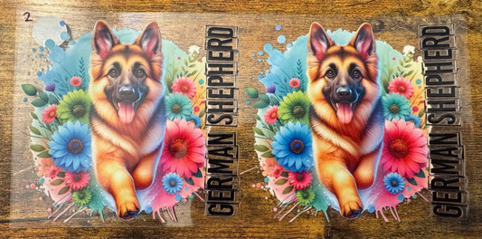 German Shephard 2