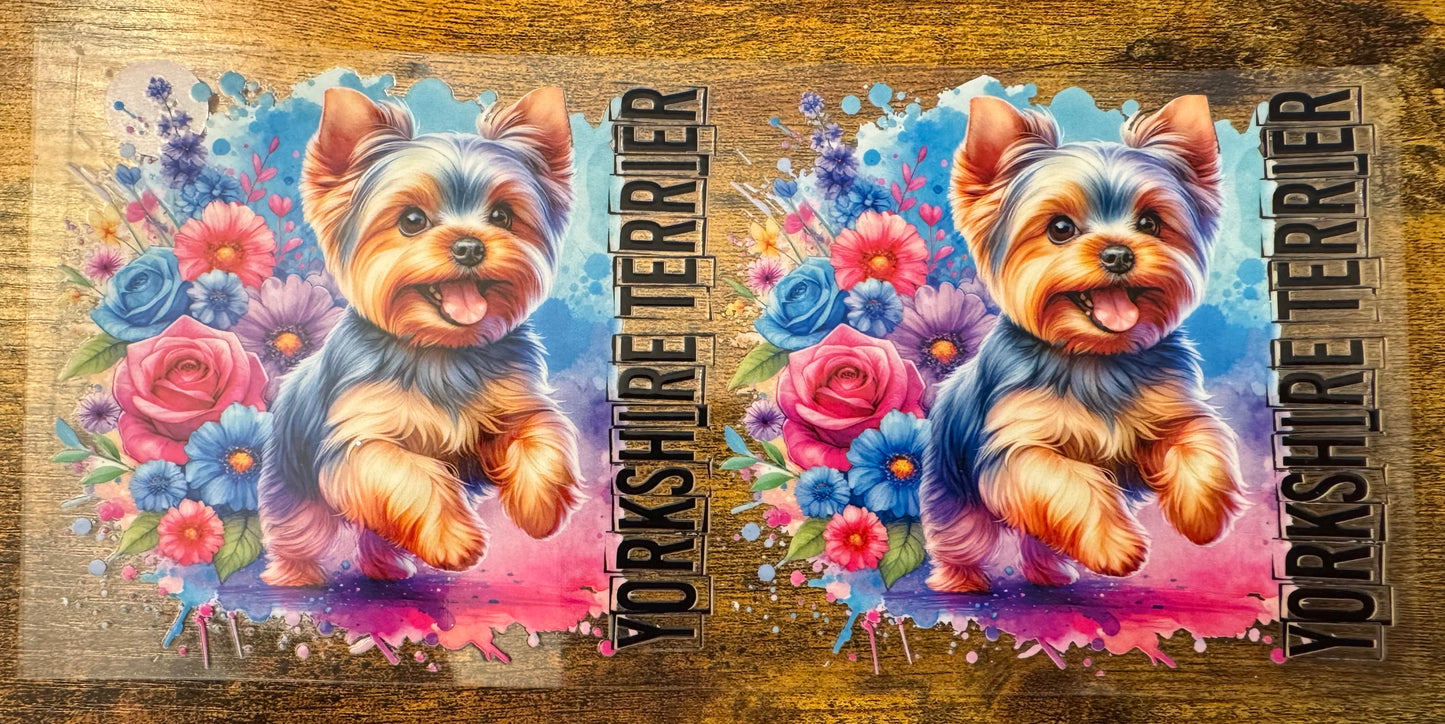 Yorkshire Terrier