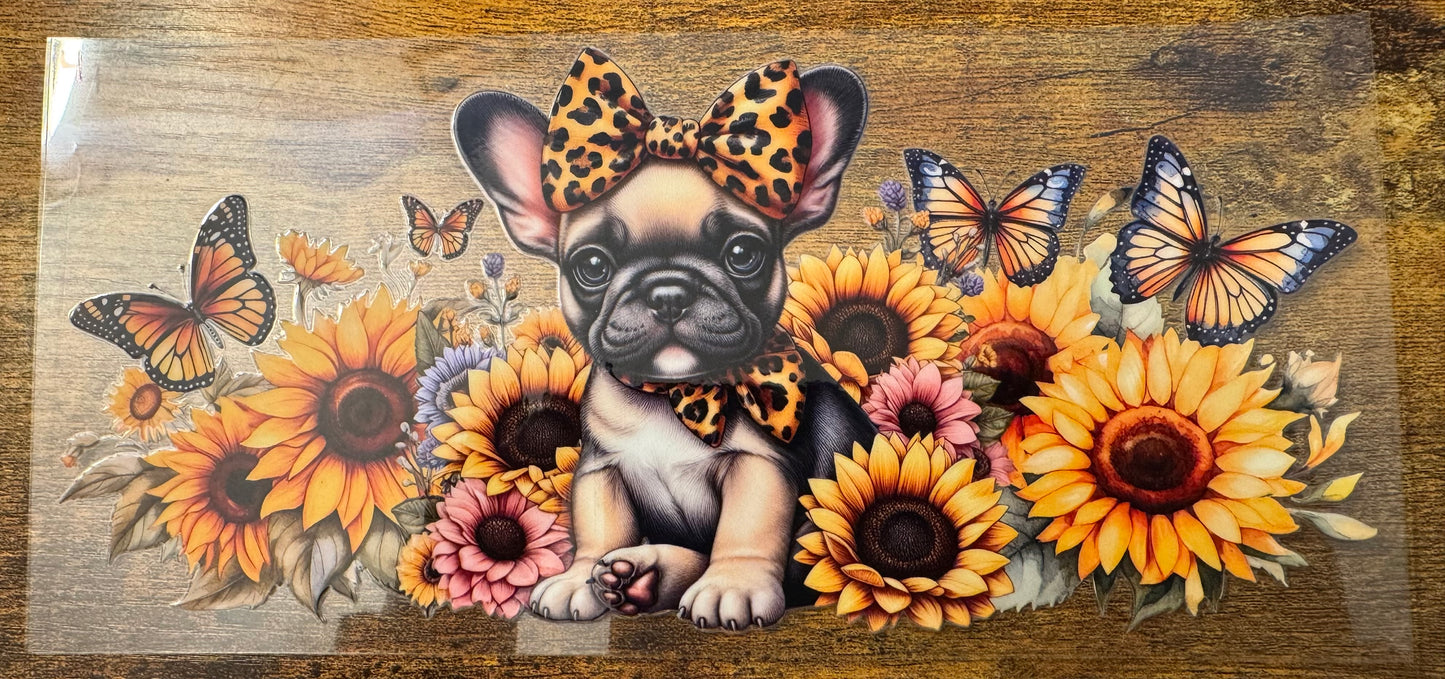 French Bulldog 4