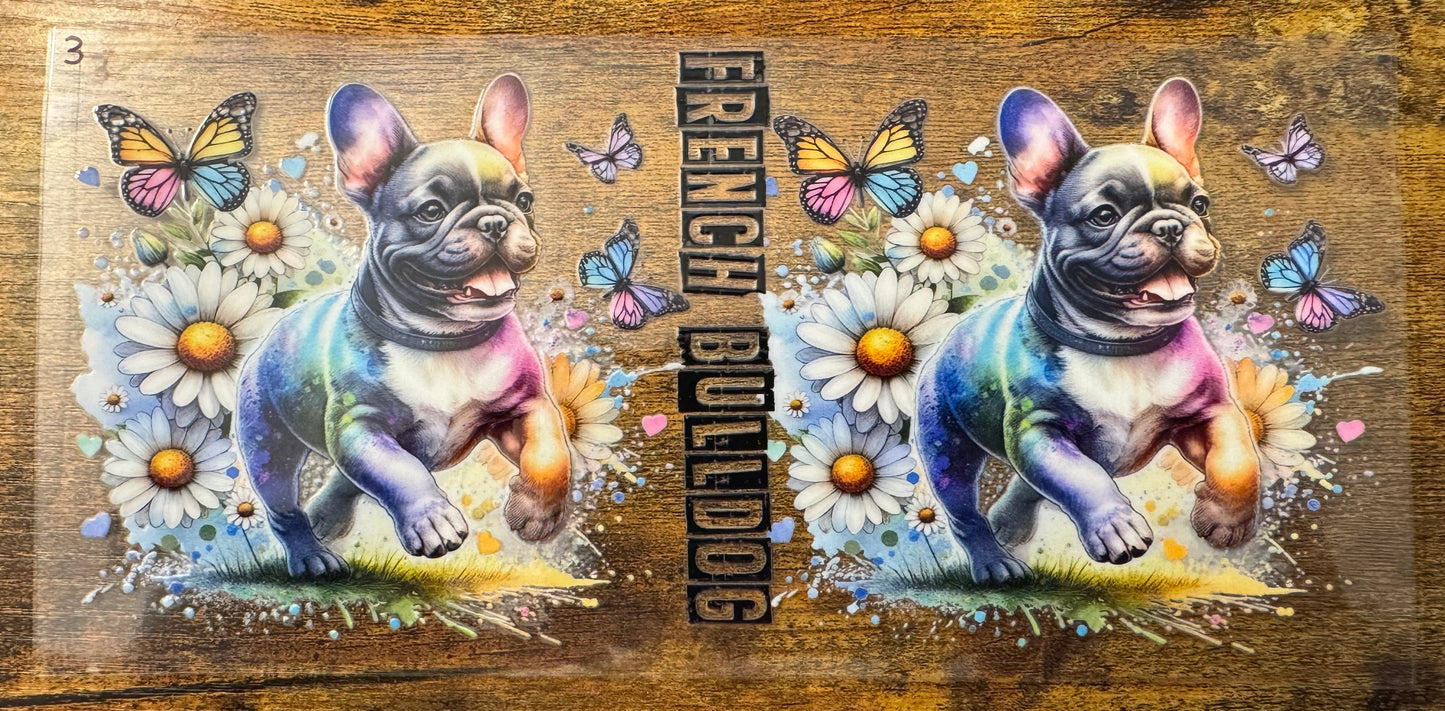 French Bulldog 3
