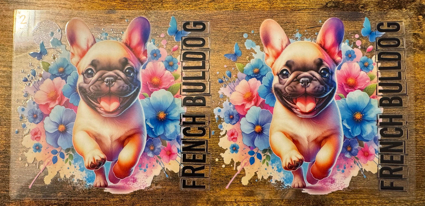 French Bulldog 2