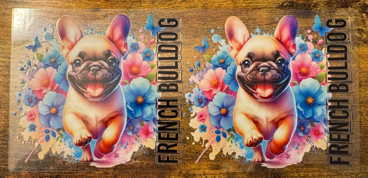 French Bulldog 2