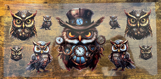 Owl 3