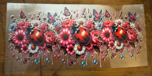 Ladybug 1