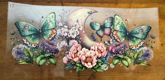 Butterfly 17