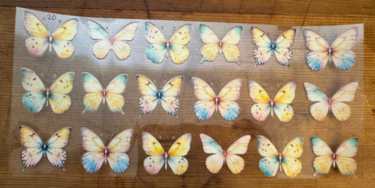 Butterfly 20
