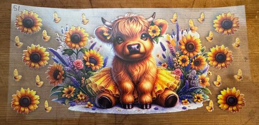 Cow 51