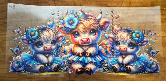 Cow 53