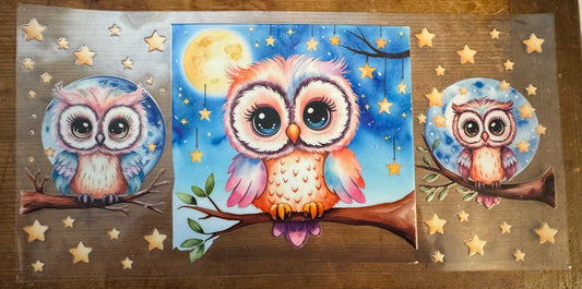 Owl 2