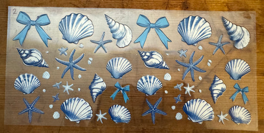 Seashells