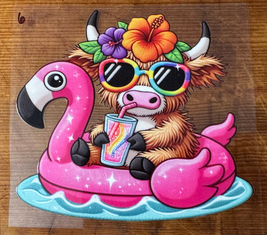 Cow 6