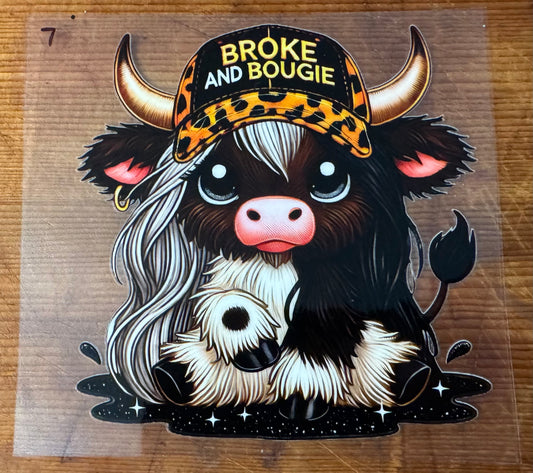 Cow 7