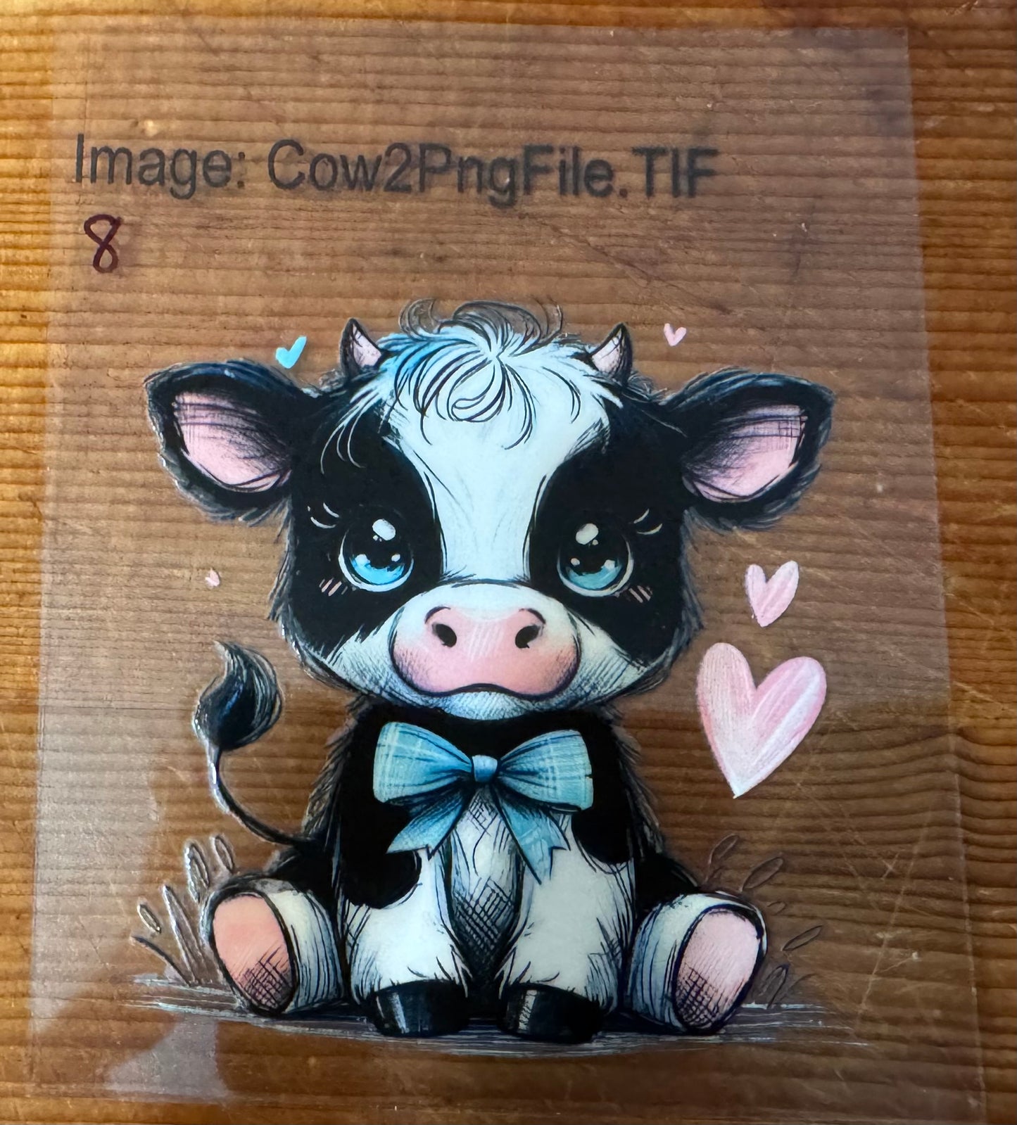 Cow 8