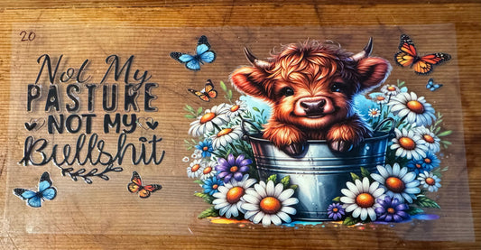 Cow 20