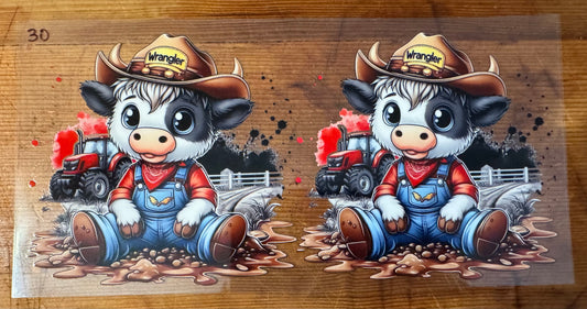 Cow 30