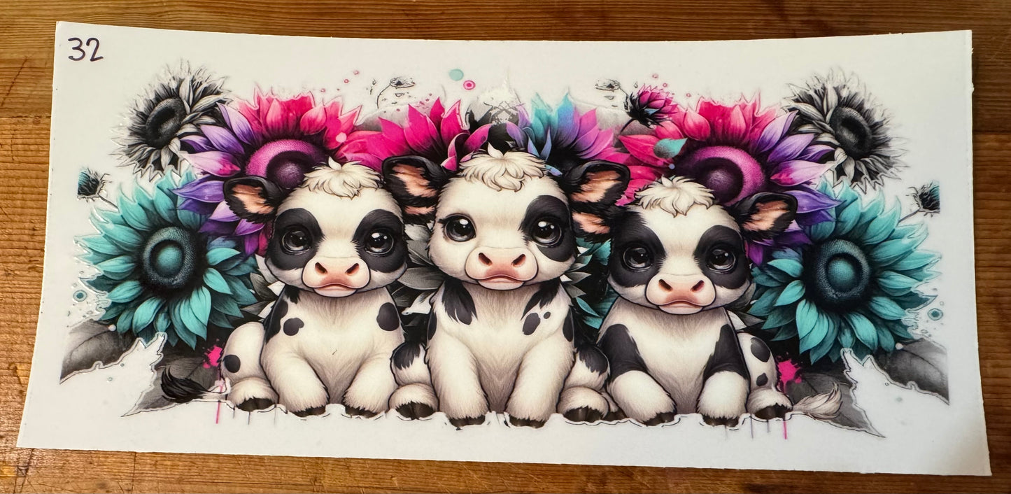 Cow 32
