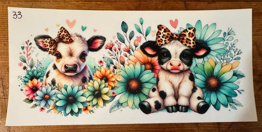 Cow 33