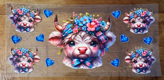 Cow 36