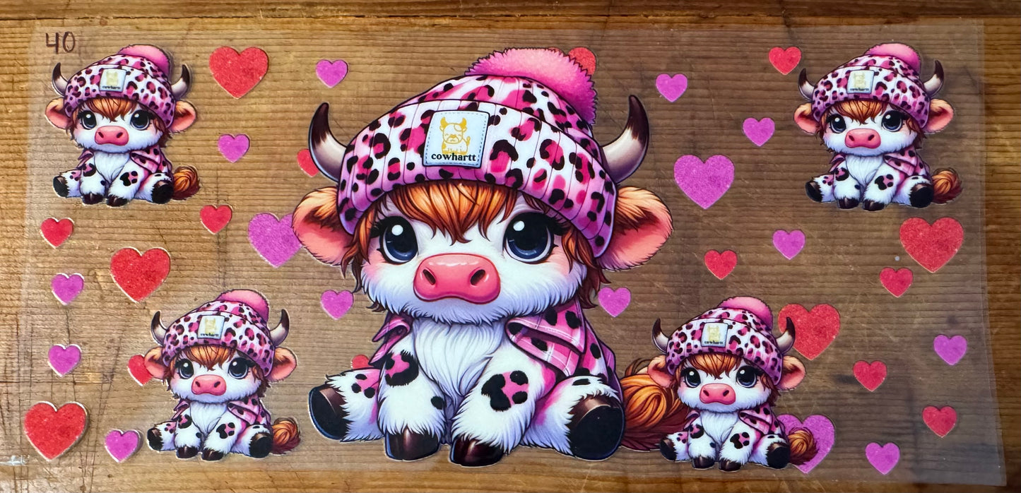 Cow 40