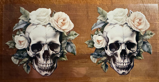 Skull 18