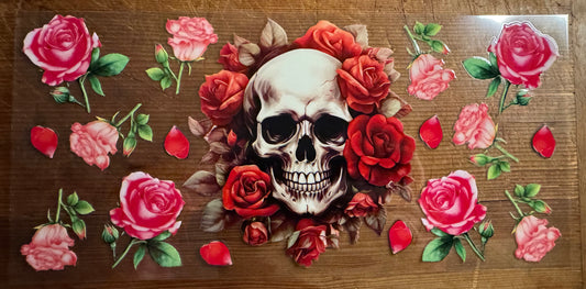 Skull 17