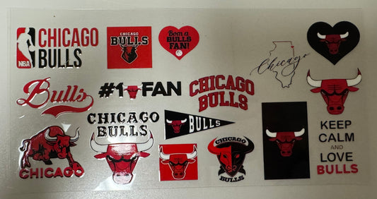 Chicago Bulls 2