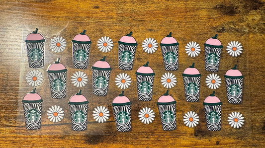 Starbucks Zebra
