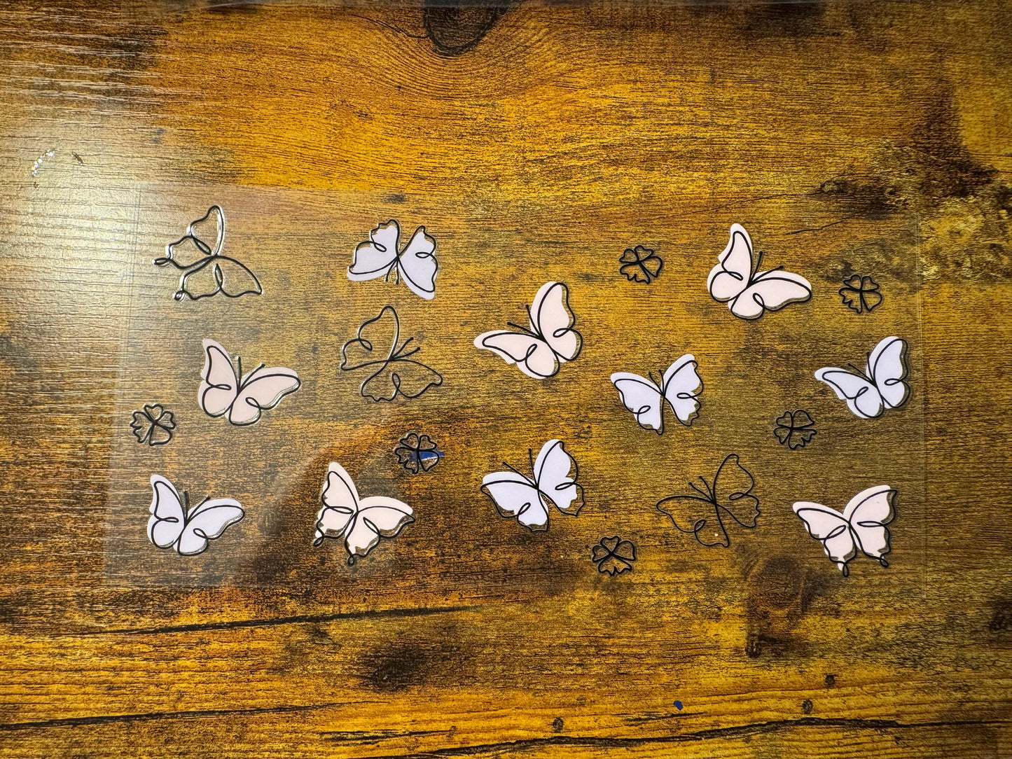 Butterfly 23